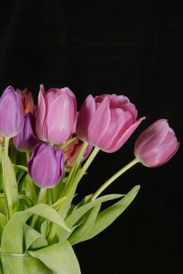 g3/74/896174/3/123337097.tudXwrAF.jpg