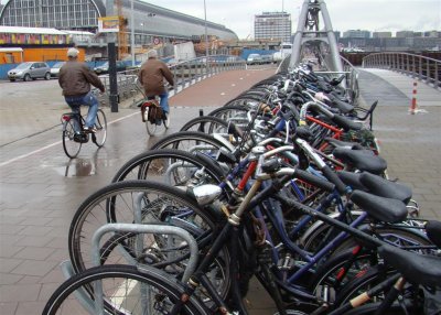 A city in which bicycles are a major form of transportation