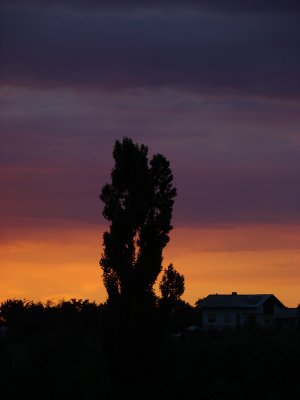 DSC01857-1.jpg