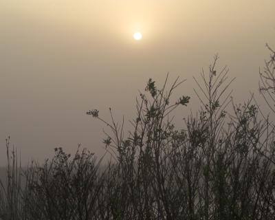 g3/75/172875/3/56029806.PICT468001.jpg