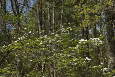_DSC6134.jpg