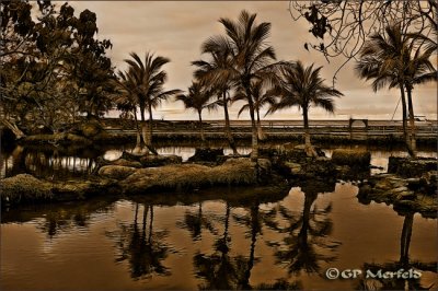 Fish Ponds Four Sepia