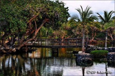 Fish Ponds Three