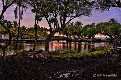 Fish Ponds One