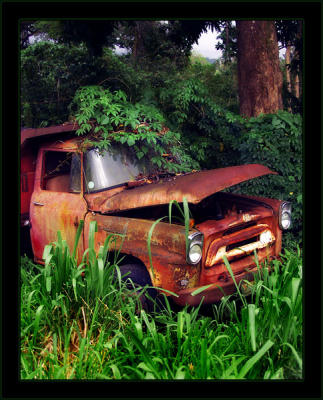 Red Rust Truck