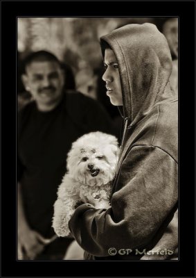 Teen & Cockapoo