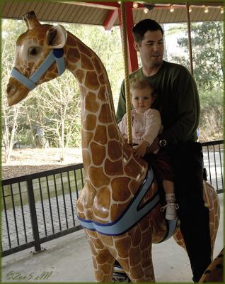 on the carousel