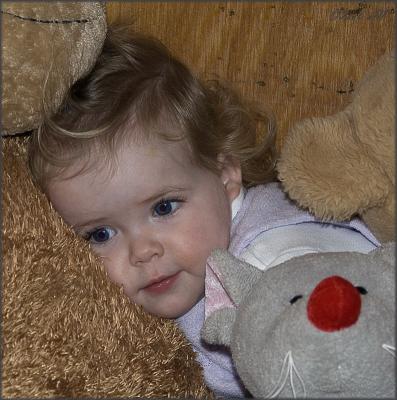2006 january