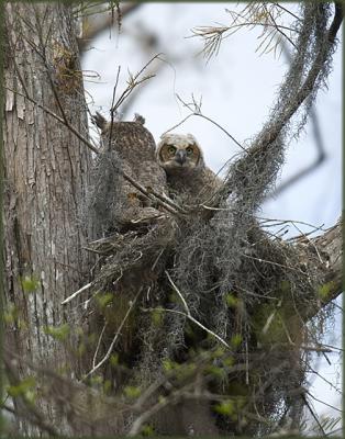 Loxahatchee Wildlife Refuge