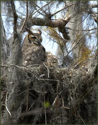 Loxahatchee Wildlife Refuge