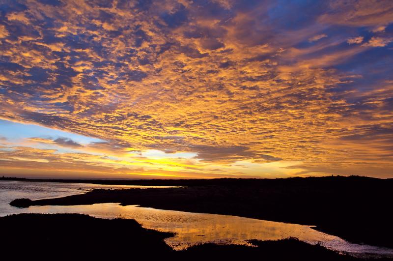 Ocean Shores Jetty sunrise