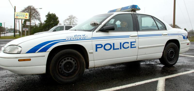 Dummy in a cop car