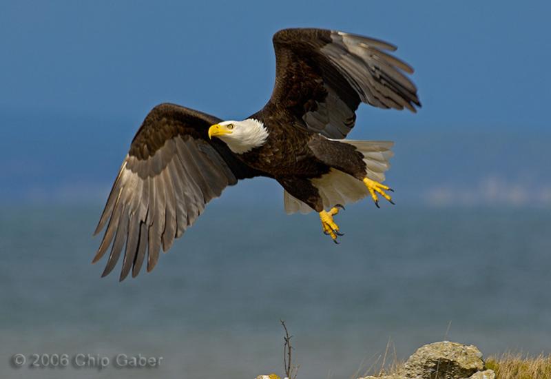 takeoff