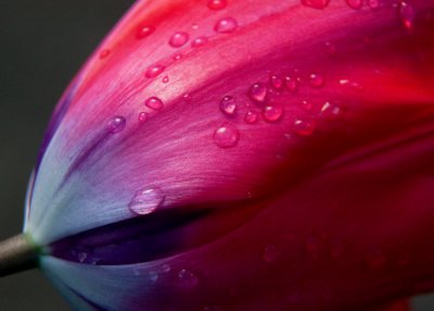 After the Rain