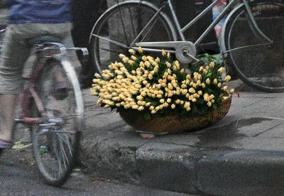 Softness in a gritty  world
