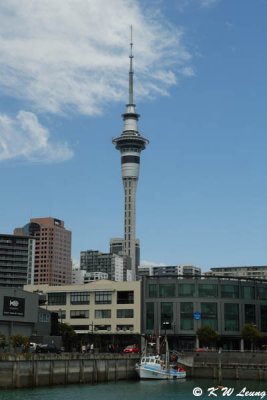 Sky Tower from Viaduct Harbour