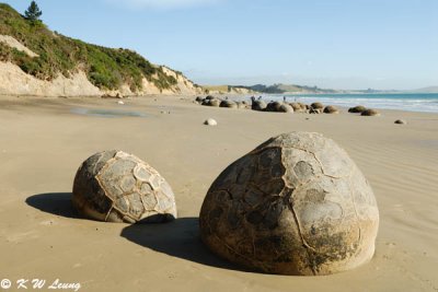 Moeraki Boulders