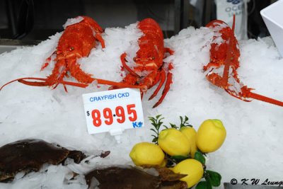 Crayfish @ fish market