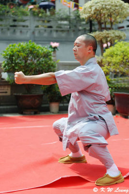 Shaolin Kung Ku Show (DSC_2573)