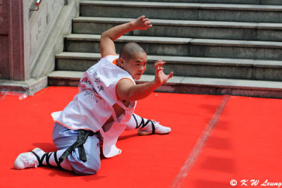 Shaolin Kung Ku Show (DSC_2497)