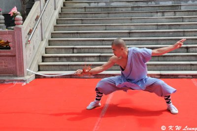 Shaolin Kung Ku Show (DSC_2480)