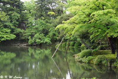 g3/75/35275/3/125216666.irplisB6.jpg
