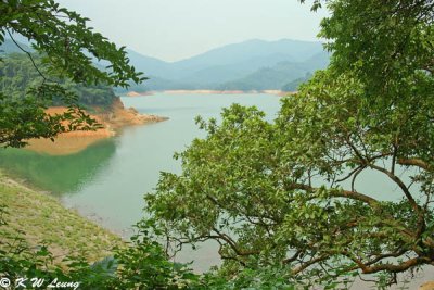 Shing Mun Reservoir DSC_0514