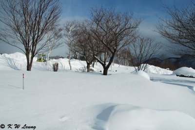 Winter in Hokkaido (北海道の冬)