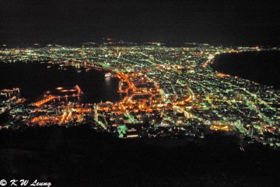 Night view from Mount Hakodate DSC_1942