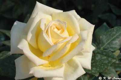 g3/75/35275/3/53996963.j75sV4sB.jpg