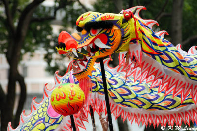 Dragon dance DSC_9886