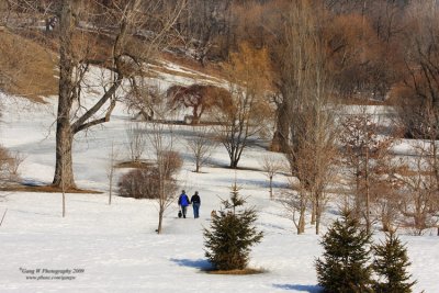 2009_03_15_6645_750.jpg