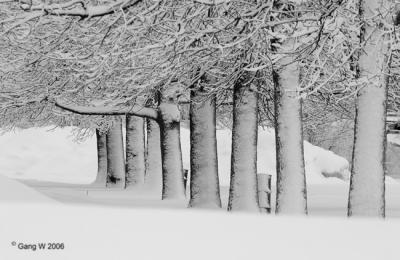 466_6691_650bw.jpg