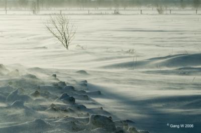 467_6734_650.jpg