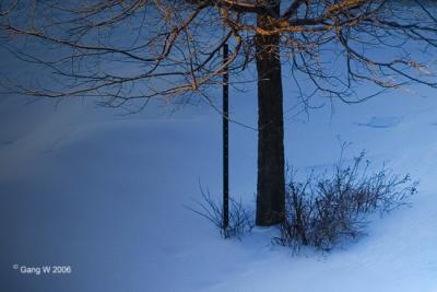 471_7159_2_650.jpg