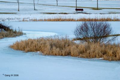 473_7354_1_650.jpg
