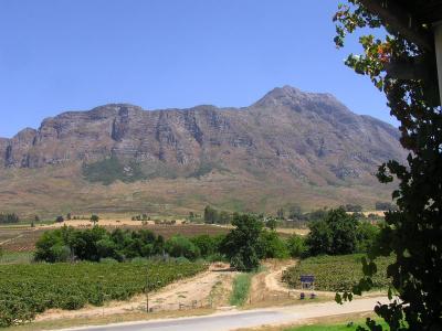 Winterhoek Valley of TULBAGH