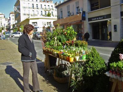 Hyeres Saturday market    France
