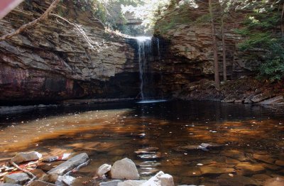 fall_foliage_2007