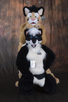 AC photoshoot