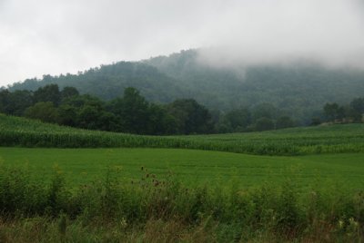 DSC_1079.JPG