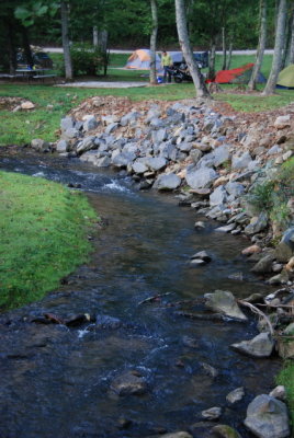DSC_1611.JPG