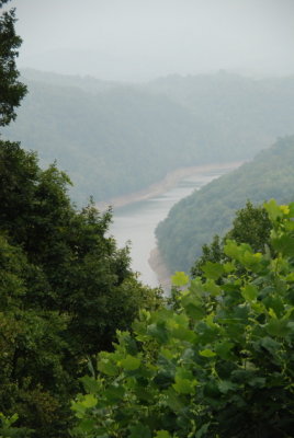 DSC_1650.JPG