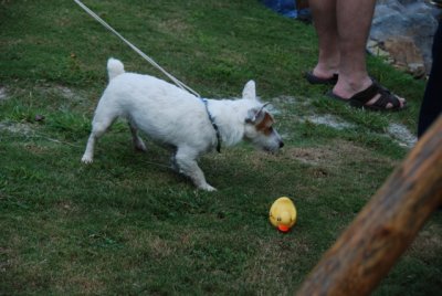 DSC_1699.JPG