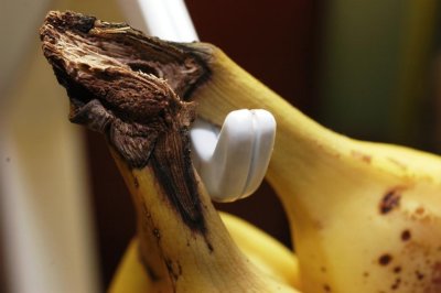 bananas2.jpg