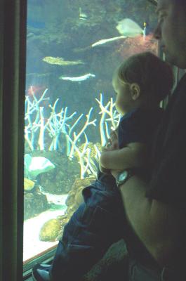 Seattle aquarium
