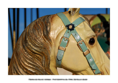 Merry-go-round horses 22