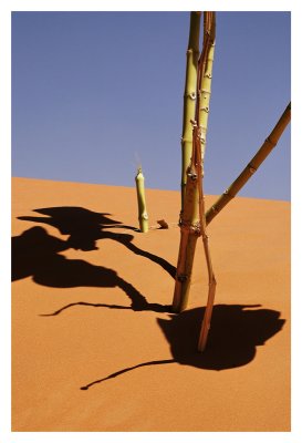 Mauritanie - Puiser la vie 32