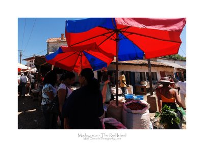 Madagascar - The Red Island 87