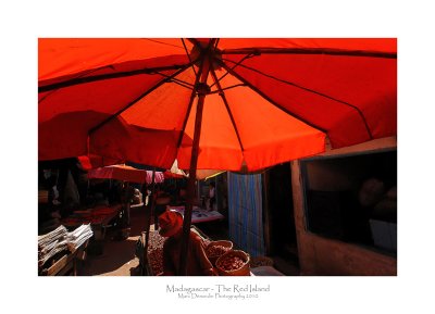 Madagascar - The Red Island 99